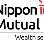 NIMF suspends investments in overseas schemes